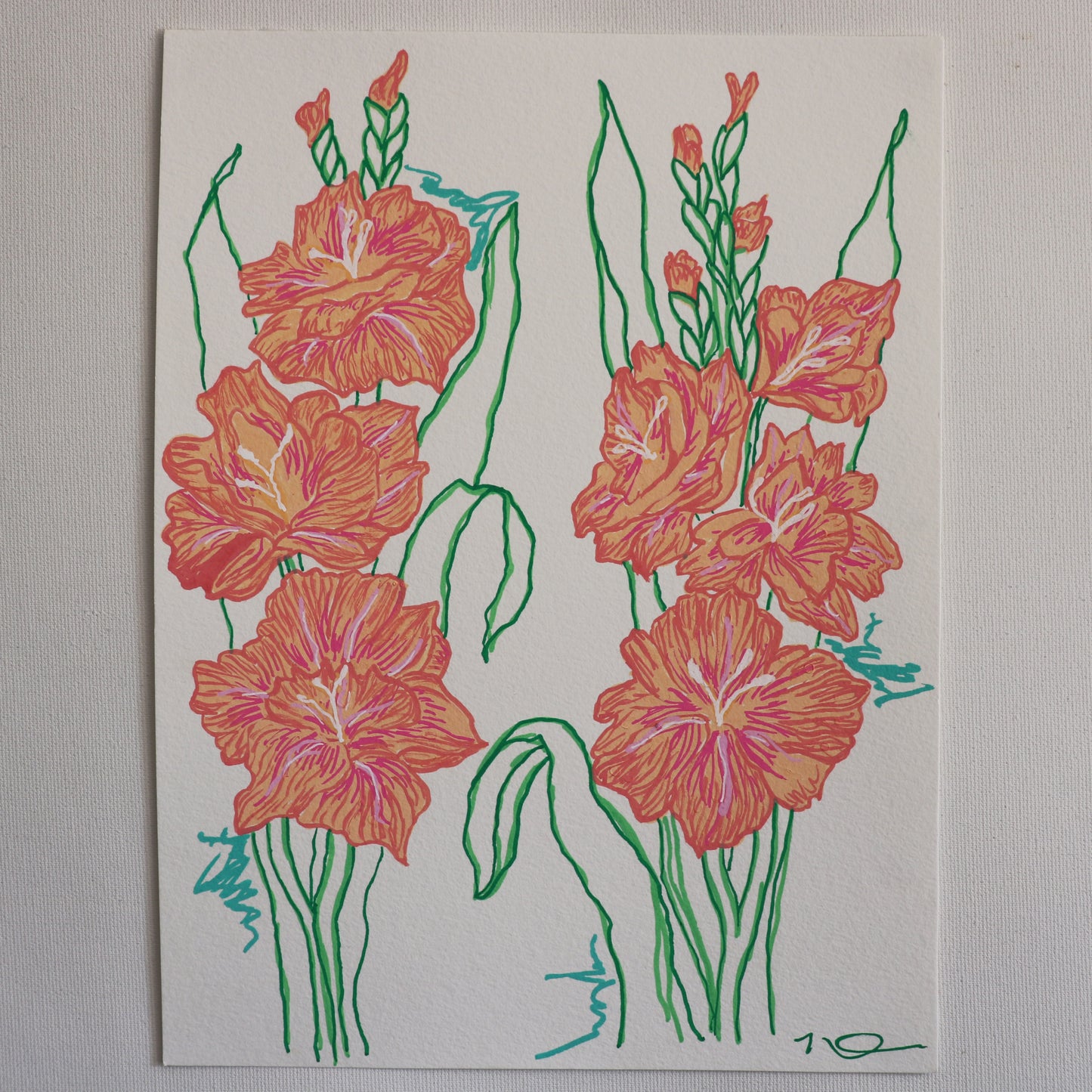 Print of Little Delight #3: Gladiolus